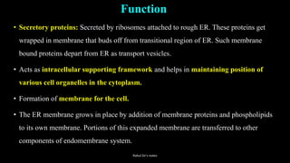 Function
• Secretory proteins: Secreted by ribosomes attached to rough ER. These proteins get
wrapped in membrane that buds off from transitional region of ER. Such membrane
bound proteins depart from ER as transport vesicles.
• Acts as intracellular supporting framework and helps in maintaining position of
various cell organelles in the cytoplasm.
• Formation of membrane for the cell.
• The ER membrane grows in place by addition of membrane proteins and phospholipids
to its own membrane. Portions of this expanded membrane are transferred to other
components of endomembrane system.
Rahul Sir's notes
 