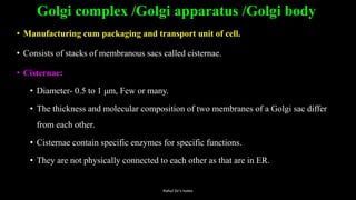 Golgi complex /Golgi apparatus /Golgi body
• Manufacturing cum packaging and transport unit of cell.
• Consists of stacks of membranous sacs called cisternae.
• Cisternae:
• Diameter- 0.5 to 1 μm, Few or many.
• The thickness and molecular composition of two membranes of a Golgi sac differ
from each other.
• Cisternae contain specific enzymes for specific functions.
• They are not physically connected to each other as that are in ER.
Rahul Sir's notes
 