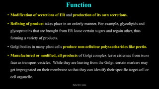 Function
• Modification of secretions of ER and production of its own secretions.
• Refining of product takes place in an orderly manner. For example, glycolipids and
glycoproteins that are brought from ER loose certain sugars and regain other, thus
forming a variety of products.
• Golgi bodies in many plant cells produce non-cellulose polysaccharides like pectin.
• Manufactured or modified, all products of Golgi complex leave cisternae from trans
face as transport vesicles. While they are leaving from the Golgi, certain markers may
get impregnated on their membrane so that they can identify their specific target cell or
cell organelle.
Rahul Sir's notes
 