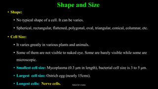 Shape and Size
• Shape:
• No typical shape of a cell. It can be varies.
• Spherical, rectangular, flattened, polygonal, oval, triangular, conical, columnar, etc.
• Cell Size:
• It varies greatly in various plants and animals.
• Some of them are not visible to naked eye. Some are barely visible while some are
microscopic.
• Smallest cell size: Mycoplasma (0.3 μm in length), bacterial cell size is 3 to 5 μm.
• Largest cell size: Ostrich egg (nearly 15cms).
• Longest cells: Nerve cells. Rahul Sir's notes
 