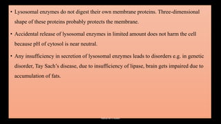 • Lysosomal enzymes do not digest their own membrane proteins. Three-dimensional
shape of these proteins probably protects the membrane.
• Accidental release of lysosomal enzymes in limited amount does not harm the cell
because pH of cytosol is near neutral.
• Any insufficiency in secretion of lysosomal enzymes leads to disorders e.g. in genetic
disorder, Tay Sach’s disease, due to insufficiency of lipase, brain gets impaired due to
accumulation of fats.
Rahul Sir's notes
 