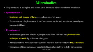 Microbodies
• They are found in both plant and animal cells. These are minute membrane bound sacs.
• Sphaerosomes :
• Synthesis and storage of fats. e. g. endosperm of oil seeds.
• The membrane of sphaerosome is half unit membrane i.e. this membrane has only one
phospholipid layer.
• Peroxisomes :
• It contain enzymes that remove hydrogen atoms from substrate and produce toxic
hydrogen peroxide by utilization of oxygen.
• At the same time peroxisome also contains enzymes that convert toxic H2O2 to water.
• Conversion of toxic substances like alcohol takes place in liver cells by peroxisomes.
Rahul Sir's notes
 