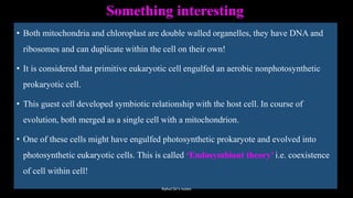 Something interesting
• Both mitochondria and chloroplast are double walled organelles, they have DNA and
ribosomes and can duplicate within the cell on their own!
• It is considered that primitive eukaryotic cell engulfed an aerobic nonphotosynthetic
prokaryotic cell.
• This guest cell developed symbiotic relationship with the host cell. In course of
evolution, both merged as a single cell with a mitochondrion.
• One of these cells might have engulfed photosynthetic prokaryote and evolved into
photosynthetic eukaryotic cells. This is called ‘Endosymbiont theory’ i.e. coexistence
of cell within cell!
Rahul Sir's notes
 