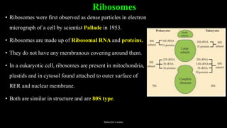 Ribosomes
• Ribosomes were first observed as dense particles in electron
micrograph of a cell by scientist Pallade in 1953.
• Ribosomes are made up of Ribosomal RNA and proteins.
• They do not have any membranous covering around them.
• In a eukaryotic cell, ribosomes are present in mitochondria,
plastids and in cytosol found attached to outer surface of
RER and nuclear membrane.
• Both are similar in structure and are 80S type.
Rahul Sir's notes
 