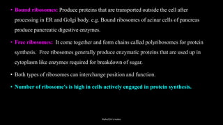 • Bound ribosomes: Produce proteins that are transported outside the cell after
processing in ER and Golgi body. e.g. Bound ribosomes of acinar cells of pancreas
produce pancreatic digestive enzymes.
• Free ribosomes: It come together and form chains called polyribosomes for protein
synthesis. Free ribosomes generally produce enzymatic proteins that are used up in
cytoplasm like enzymes required for breakdown of sugar.
• Both types of ribosomes can interchange position and function.
• Number of ribosome's is high in cells actively engaged in protein synthesis.
Rahul Sir's notes
 