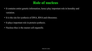 Role of nucleus
• It contains entire genetic information, hence play important role in heredity and
variation.
• It is the site for synthesis of DNA, RNA and ribosomes.
• It plays important role in protein synthesis.
• Nucleus thus is the master cell organelle.
Rahul Sir's notes
 