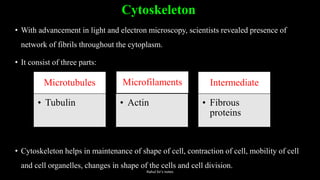 Cytoskeleton
• With advancement in light and electron microscopy, scientists revealed presence of
network of fibrils throughout the cytoplasm.
• It consist of three parts:
• Cytoskeleton helps in maintenance of shape of cell, contraction of cell, mobility of cell
and cell organelles, changes in shape of the cells and cell division.
Microtubules
• Tubulin
Microfilaments
• Actin
Intermediate
• Fibrous
proteins
Rahul Sir's notes
 