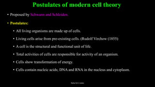 Postulates of modern cell theory
• Proposed by Schwann and Schleiden.
• Postulates:
• All living organisms are made up of cells.
• Living cells arise from pre-existing cells. (Rudolf Virchow (1855)
• A cell is the structural and functional unit of life.
• Total activities of cells are responsible for activity of an organism.
• Cells show transformation of energy.
• Cells contain nucleic acids; DNA and RNA in the nucleus and cytoplasm.
Rahul Sir's notes
 