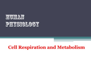 Cell Respiration and Metabolism
Human
physiology
 