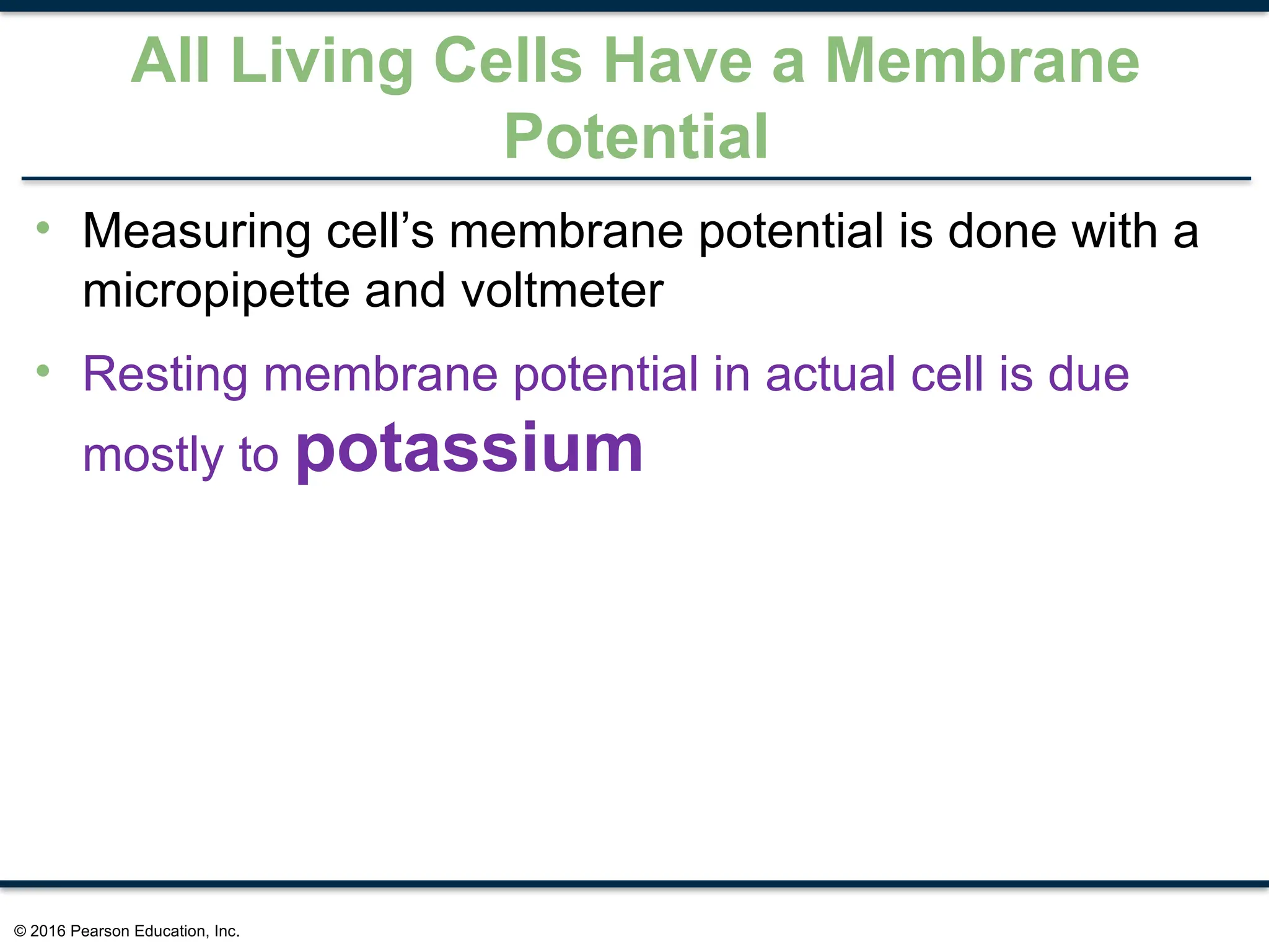 Membrane Transport - Human Physiology Chapter 5 | PPTX