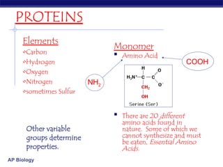 Protein Element Bio chemistry about the structure and properties of proteins | PPT