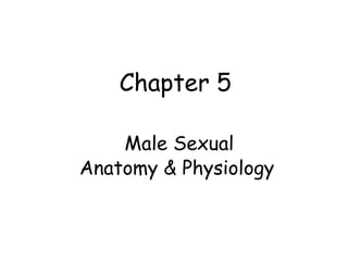 Chapter 5
Male Sexual
Anatomy & Physiology
 
