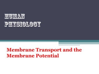 Membrane Transport and the
Membrane Potential
Human
physiology
 