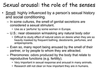 Sexual arousal: the role of the senses
• Smell: highly influenced by a person’s sexual history
and social conditioning.
– In some cultures, the smell of genital secretions are
considered a sexual stimulant.
• Use as a ‘perfume’ by some women in Europe.
– U.S.: near obsession w/masking any natural body odor
• Difficult to study effect of natural odors on desire when they are so
heavily masked by frequent bathing, deodorants, perfumes, and
antiperspirants.
– Even so, many report being aroused by the smell of their
partner, or by people to whom they are attracted.
– Pheromones: odors produced by the body that relate to
reproductive functions (e.g. fertility).
• Very important in sexual response and arousal in many animals.
• Research still not clear on how important they are in humans.
 