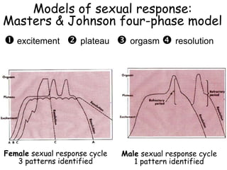 Models of sexual response:
Masters & Johnson four-phase model
 excitement  plateau  orgasm  resolution
Female sexual response cycle
3 patterns identified
Male sexual response cycle
1 pattern identified
 