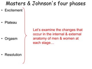 Masters & Johnson's four phases
• Excitement
• Plateau
• Orgasm
• Resolution
Let’s examine the changes that
occur in the internal & external
anatomy of men & women at
each stage…
 