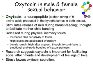 Oxytocin in male & female
sexual behavior
• Oxytocin: a neuropeptide (a short string of 9
amino acids produced in the hypothalamus in both sexes).
• Stimulates release of milk during breast-feeding; thought
to facilitate mother-child bonding
• Released during physical intimacy/touch
– Increases skin sensitivity to touch
– High levels are associated w/orgasm
– Levels remain high after orgasm; thought to contribute to
emotional and erotic bonding of sexual partners
• Research suggests oxytocin is important for facilitating
social attachments and development of feelings of love.
• Stress lowers oxytocin secretion.
 