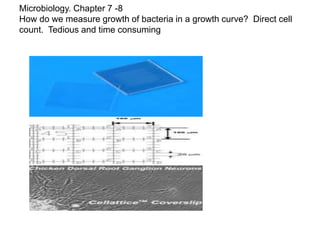growth of microorganism chp 7-8 ppt.ppt