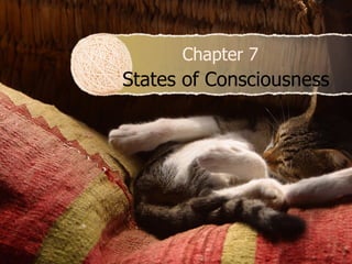 Chapter 7  States of Consciousness 