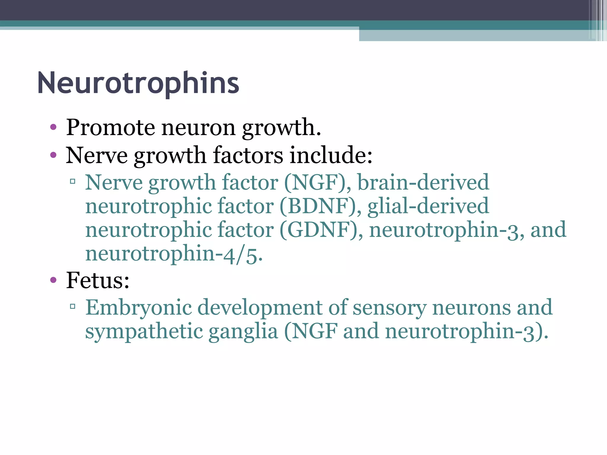 Neurotrophins
• Promote neuron growth.
• Nerve growth factors include:
▫ Nerve growth factor (NGF), brain-derived
neurotrophic factor (BDNF), glial-derived
neurotrophic factor (GDNF), neurotrophin-3, and
neurotrophin-4/5.
• Fetus:
▫ Embryonic development of sensory neurons and
sympathetic ganglia (NGF and neurotrophin-3).
 