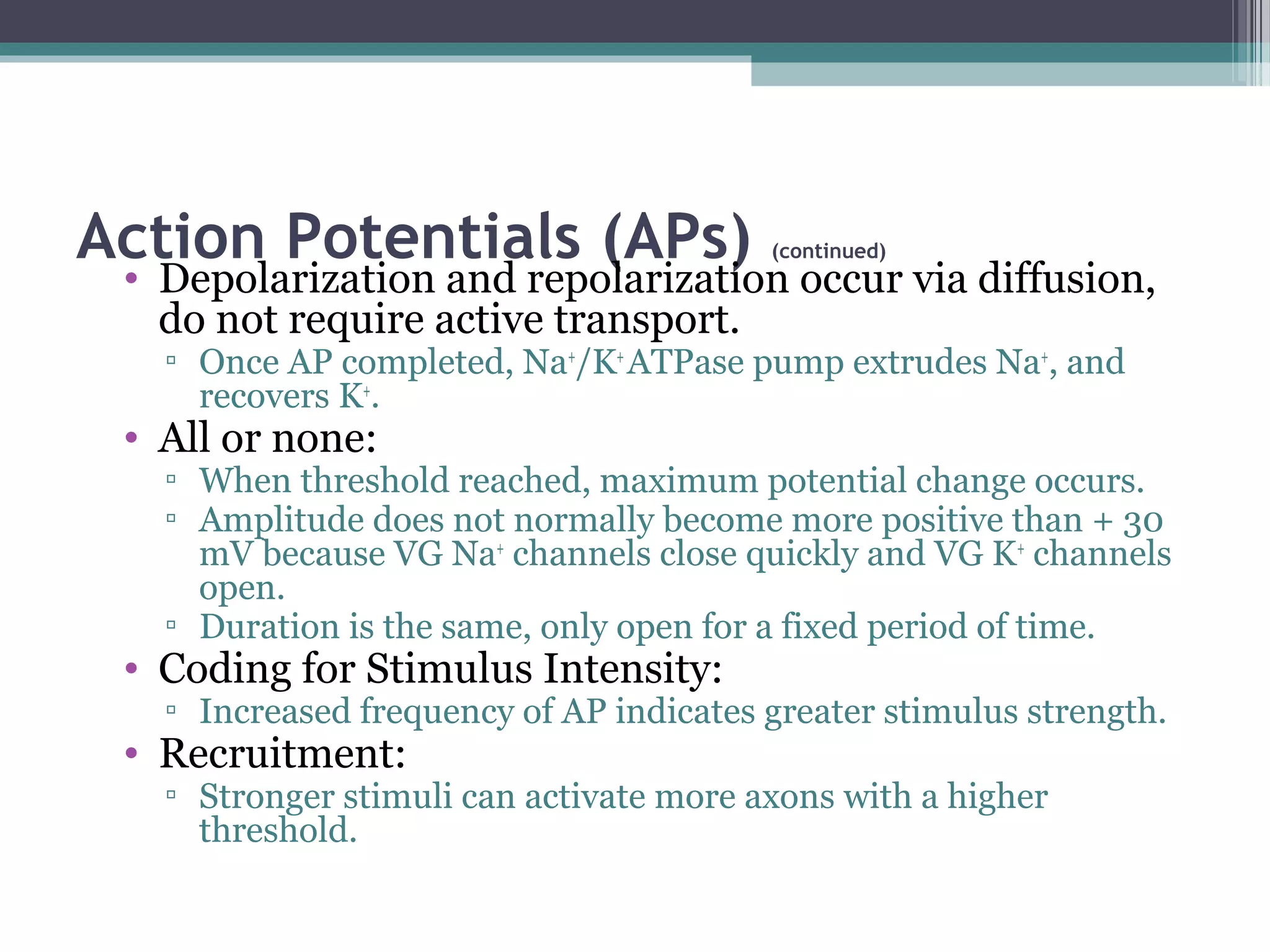 Action Potentials (APs) (continued)
• Depolarization and repolarization occur via diffusion,
do not require active transport.
▫ Once AP completed, Na+
/K+
ATPase pump extrudes Na+
, and
recovers K+
.
• All or none:
▫ When threshold reached, maximum potential change occurs.
▫ Amplitude does not normally become more positive than + 30
mV because VG Na+
channels close quickly and VG K+
channels
open.
▫ Duration is the same, only open for a fixed period of time.
• Coding for Stimulus Intensity:
▫ Increased frequency of AP indicates greater stimulus strength.
• Recruitment:
▫ Stronger stimuli can activate more axons with a higher
threshold.
 