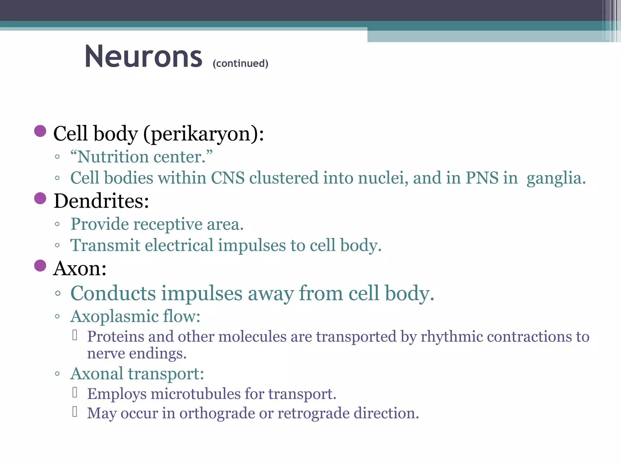 Neurons (continued)
Cell body (perikaryon):
◦ “Nutrition center.”
◦ Cell bodies within CNS clustered into nuclei, and in PNS in ganglia.
Dendrites:
◦ Provide receptive area.
◦ Transmit electrical impulses to cell body.
Axon:
◦ Conducts impulses away from cell body.
◦ Axoplasmic flow:
 Proteins and other molecules are transported by rhythmic contractions to
nerve endings.
◦ Axonal transport:
 Employs microtubules for transport.
 May occur in orthograde or retrograde direction.
 