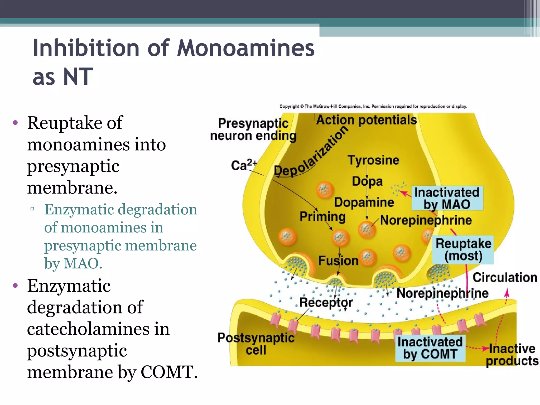 Inhibition of Monoamines
as NT
• Reuptake of
monoamines into
presynaptic
membrane.
▫ Enzymatic degradation
of monoamines in
presynaptic membrane
by MAO.
• Enzymatic
degradation of
catecholamines in
postsynaptic
membrane by COMT.
 