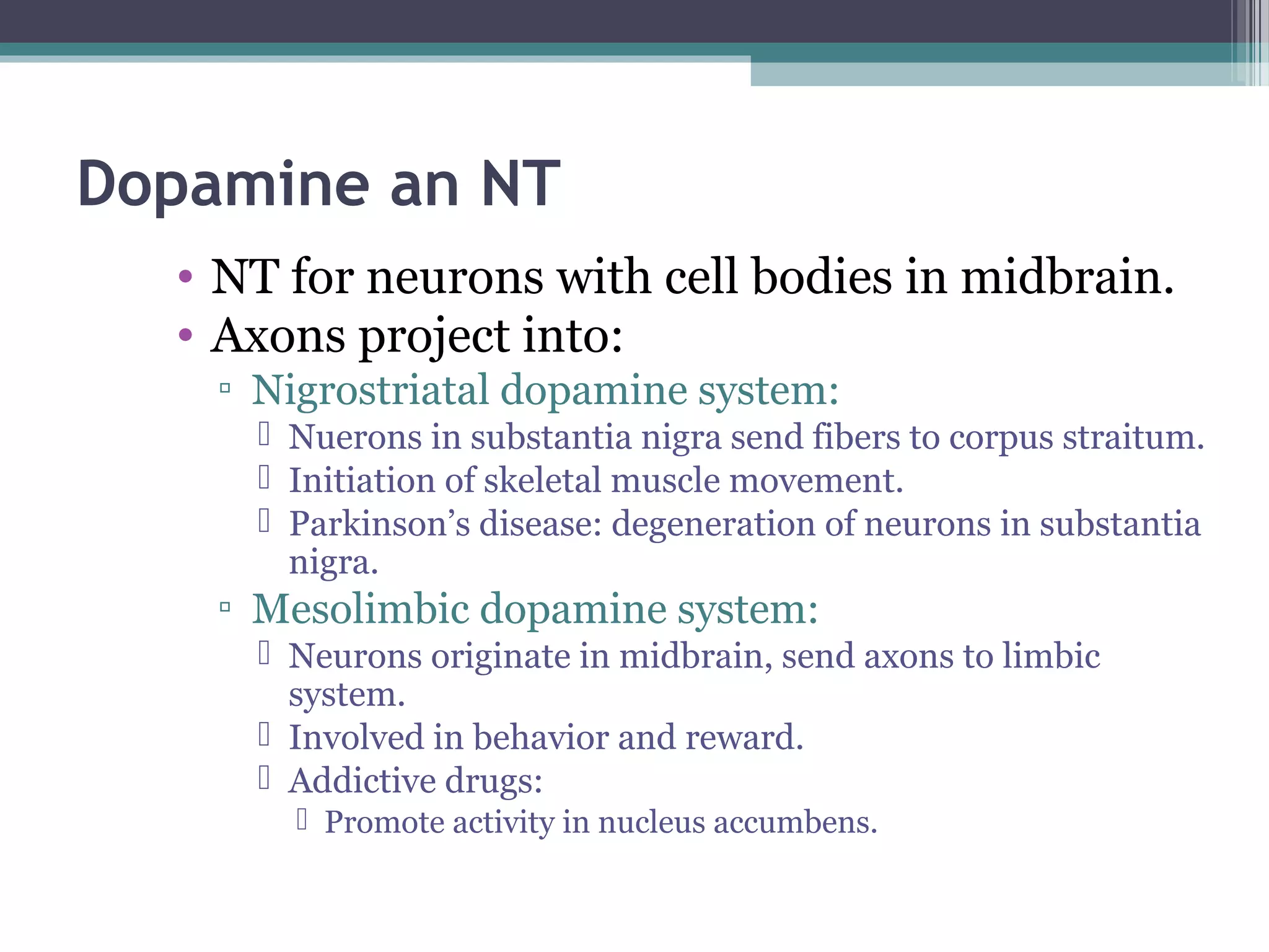 Dopamine an NT
• NT for neurons with cell bodies in midbrain.
• Axons project into:
▫ Nigrostriatal dopamine system:
 Nuerons in substantia nigra send fibers to corpus straitum.
 Initiation of skeletal muscle movement.
 Parkinson’s disease: degeneration of neurons in substantia
nigra.
▫ Mesolimbic dopamine system:
 Neurons originate in midbrain, send axons to limbic
system.
 Involved in behavior and reward.
 Addictive drugs:
 Promote activity in nucleus accumbens.
 
