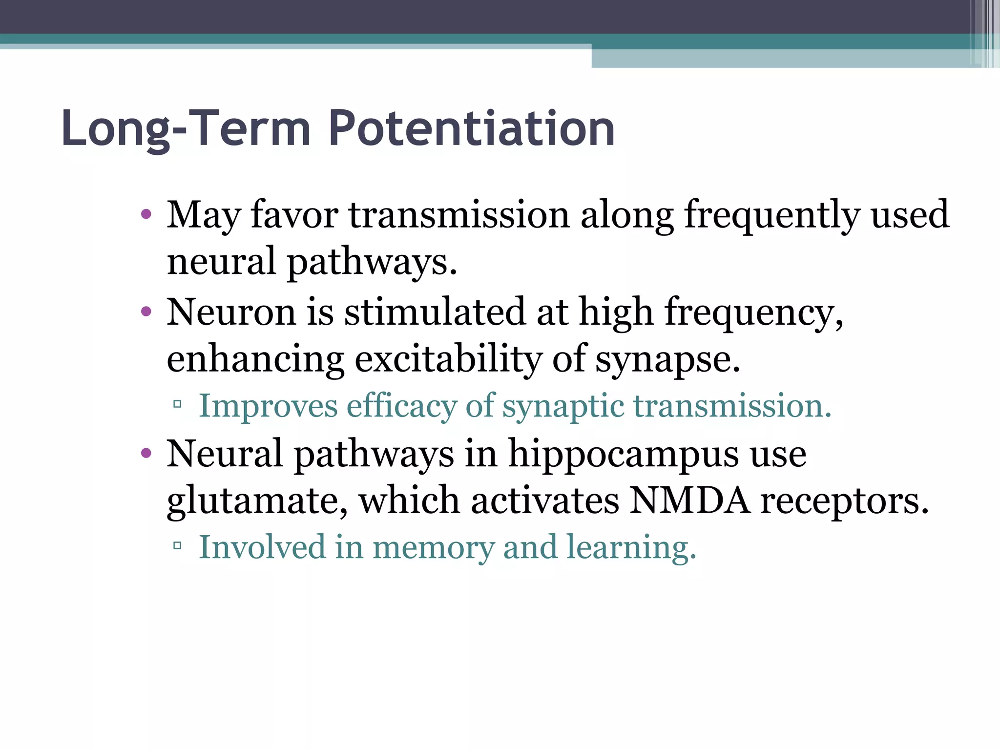 Long-Term Potentiation
• May favor transmission along frequently used
neural pathways.
• Neuron is stimulated at high frequency,
enhancing excitability of synapse.
▫ Improves efficacy of synaptic transmission.
• Neural pathways in hippocampus use
glutamate, which activates NMDA receptors.
▫ Involved in memory and learning.
 