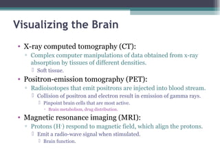 Visualizing the Brain
• X-ray computed tomography (CT):
▫ Complex computer manipulations of data obtained from x-ray
absorption by tissues of different densities.
 Soft tissue.
• Positron-emission tomography (PET):
▫ Radioisotopes that emit positrons are injected into blood stream.
 Collision of positron and electron result in emission of gamma rays.
 Pinpoint brain cells that are most active.
▫ Brain metabolism, drug distribution.
• Magnetic resonance imaging (MRI):
▫ Protons (H+
) respond to magnetic field, which align the protons.
 Emit a radio-wave signal when stimulated.
 Brain function.
 