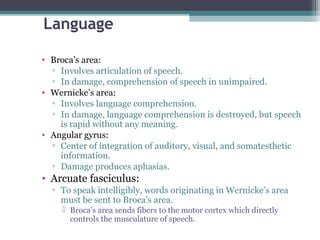 Language
• Broca’s area:
▫ Involves articulation of speech.
▫ In damage, comprehension of speech in unimpaired.
• Wernicke’s area:
▫ Involves language comprehension.
▫ In damage, language comprehension is destroyed, but speech
is rapid without any meaning.
• Angular gyrus:
▫ Center of integration of auditory, visual, and somatesthetic
information.
▫ Damage produces aphasias.
• Arcuate fasciculus:
▫ To speak intelligibly, words originating in Wernicke’s area
must be sent to Broca’s area.
 Broca’s area sends fibers to the motor cortex which directly
controls the musculature of speech.
 