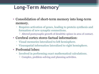 Long-Term Memory
• Consolidation of short-term memory into long-term
memory.
▫ Requires activation of genes, leading to protein synthesis and
formation of new synaptic connections.
 Altered postsynaptic growth of dendritic spines in area of contact.
• Cerebral cortex stores factual information:
▫ Visual memories lateralized to left hemisphere.
▫ Visuospatial information lateralized to right hemisphere.
• Prefrontal lobes:
▫ Involved in performing exact mathematical calculations.
 Complex, problem-solving and planning activities.
 