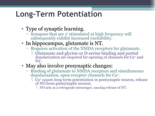 Long-Term Potentiation
• Type of synaptic learning.
▫ Synapses that are 1st
stimulated at high frequency will
subsequently exhibit increased excitability.
• In hippocampus, glutamate is NT.
▫ Requires activation of the NMDA receptors for glutamate.
 Glutamate and glycine or D-serine binding and partial
depolarization are required for opening of channels for Ca2+
and
Na+
.
• May also involve presynaptic changes:
▫ Binding of glutamate to NMDA receptors and simultaneous
depolarization, open receptor channels for Ca2+
.
 Ca2+
causes long-term potentiation in postsynaptic neuron, release
of NO from postsynaptic neuron.
 NO acts as a retrograde messenger, causing release of NT.
 