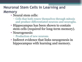 Neuronal Stem Cells in Learning and
Memory
• Neural stem cells:
▫ Cells that both renew themselves through mitosis
and produce differentiated neurons and neuroglia.
• Hippocampus has been shown to contain
stem cells (required for long-term memory).
• Neurogenesis:
▫ Production of new neurons.
• Indirect evidence that links neuogenesis in
hippocampus with learning and memory.
 