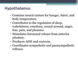 Hypothalamus
• Contains neural centers for hunger, thirst, and
body temperature.
• Contributes to the regulation of sleep,
wakefulness, emotions, sexual arousal, anger,
fear, pain, and pleasure.
• Stimulates hormonal release from anterior
pituitary.
• Produces ADH and oxytocin.
• Coordinates sympathetic and parasympathetic
reflexes.
 