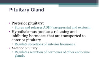 Pituitary Gland
• Posterior pituitary:
▫ Stores and releases ADH (vasopressin) and oxytocin.
• Hypothalamus produces releasing and
inhibiting hormones that are transported to
anterior pituitary.
▫ Regulate secretions of anterior hormones.
• Anterior pituitary:
▫ Regulates secretion of hormones of other endocrine
glands.
 