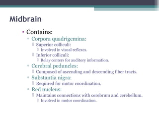 Midbrain
• Contains:
▫ Corpora quadrigemina:
 Superior colliculi:
 Involved in visual reflexes.
 Inferior colliculi:
 Relay centers for auditory information.
▫ Cerebral peduncles:
 Composed of ascending and descending fiber tracts.
▫ Substantia nigra:
 Required for motor coordination.
▫ Red nucleus:
 Maintains connections with cerebrum and cerebellum.
 Involved in motor coordination.
 