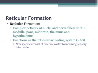 Reticular Formation
• Reticular Formation:
▫ Complex network of nuclei and nerve fibers within
medulla, pons, midbrain, thalamus and
hypothalamus.
▫ Functions as the reticular activating system (RAS).
 Non specific arousal of cerebral cortex to incoming sensory
information.
 