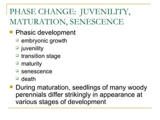 PHASE CHANGE: JUVENILITY,
MATURATION, SENESCENCE
   Phasic development
       embryonic growth
       juvenility
       transition stage
       maturity
       senescence
       death
   During maturation, seedlings of many woody
    perennials differ strikingly in appearance at
    various stages of development
 