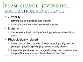 PHASE CHANGE: JUVENILITY,
MATURATION, SENESCENCE
   Juvenility
       terminated by flowering and fruiting
       may be extensive in certain forest species
   Maturity
       loss or reduction in ability of cuttings to form adventitious
        roots
   Physiologically related
       lower part of plant may be oldest chronologically, yet be
        youngest physiologically (e.g. some woody plants)
       top part of plant may be youngest in days, yet develop into
        the part that matures and bears flowers and fruit
 