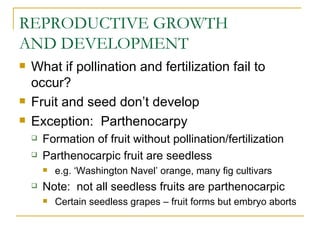 REPRODUCTIVE GROWTH
AND DEVELOPMENT
   What if pollination and fertilization fail to
    occur?
   Fruit and seed don’t develop
   Exception: Parthenocarpy
       Formation of fruit without pollination/fertilization
       Parthenocarpic fruit are seedless
           e.g. ‘Washington Navel’ orange, many fig cultivars
       Note: not all seedless fruits are parthenocarpic
           Certain seedless grapes – fruit forms but embryo aborts
 