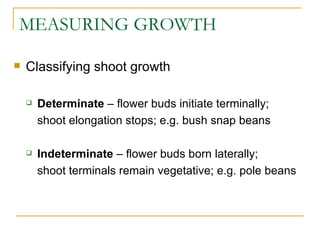 MEASURING GROWTH

   Classifying shoot growth

       Determinate – flower buds initiate terminally;
        shoot elongation stops; e.g. bush snap beans

       Indeterminate – flower buds born laterally;
        shoot terminals remain vegetative; e.g. pole beans
 