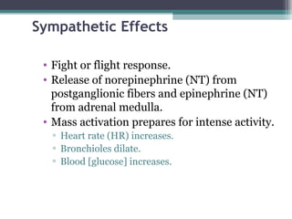 Sympathetic Effects
• Fight or flight response.
• Release of norepinephrine (NT) from
postganglionic fibers and epinephrine (NT)
from adrenal medulla.
• Mass activation prepares for intense activity.
▫ Heart rate (HR) increases.
▫ Bronchioles dilate.
▫ Blood [glucose] increases.
 