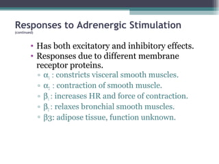 Responses to Adrenergic Stimulation
(continued)
• Has both excitatory and inhibitory effects.
• Responses due to different membrane
receptor proteins.
▫ α1 : constricts visceral smooth muscles.
▫ α2 : contraction of smooth muscle.
▫ β1 : increases HR and force of contraction.
▫ β2 : relaxes bronchial smooth muscles.
▫ β3: adipose tissue, function unknown.
 