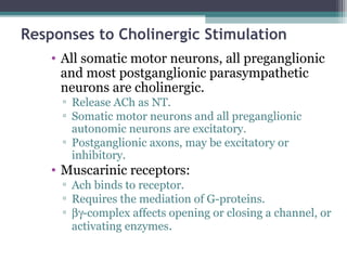Responses to Cholinergic Stimulation
• All somatic motor neurons, all preganglionic
and most postganglionic parasympathetic
neurons are cholinergic.
▫ Release ACh as NT.
▫ Somatic motor neurons and all preganglionic
autonomic neurons are excitatory.
▫ Postganglionic axons, may be excitatory or
inhibitory.
• Muscarinic receptors:
▫ Ach binds to receptor.
▫ Requires the mediation of G-proteins.
▫ βγ-complex affects opening or closing a channel, or
activating enzymes.
 