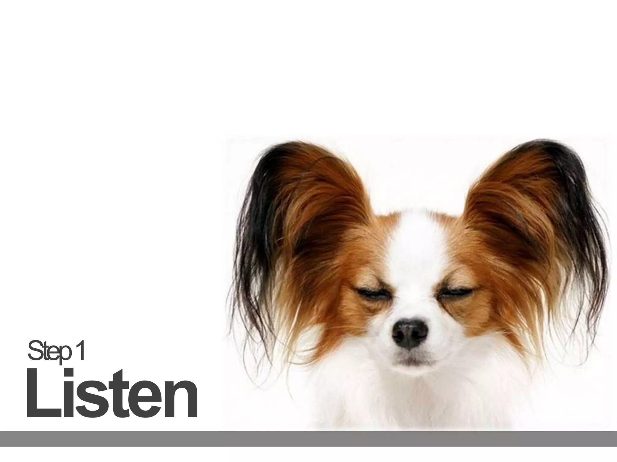 Step 1Listen