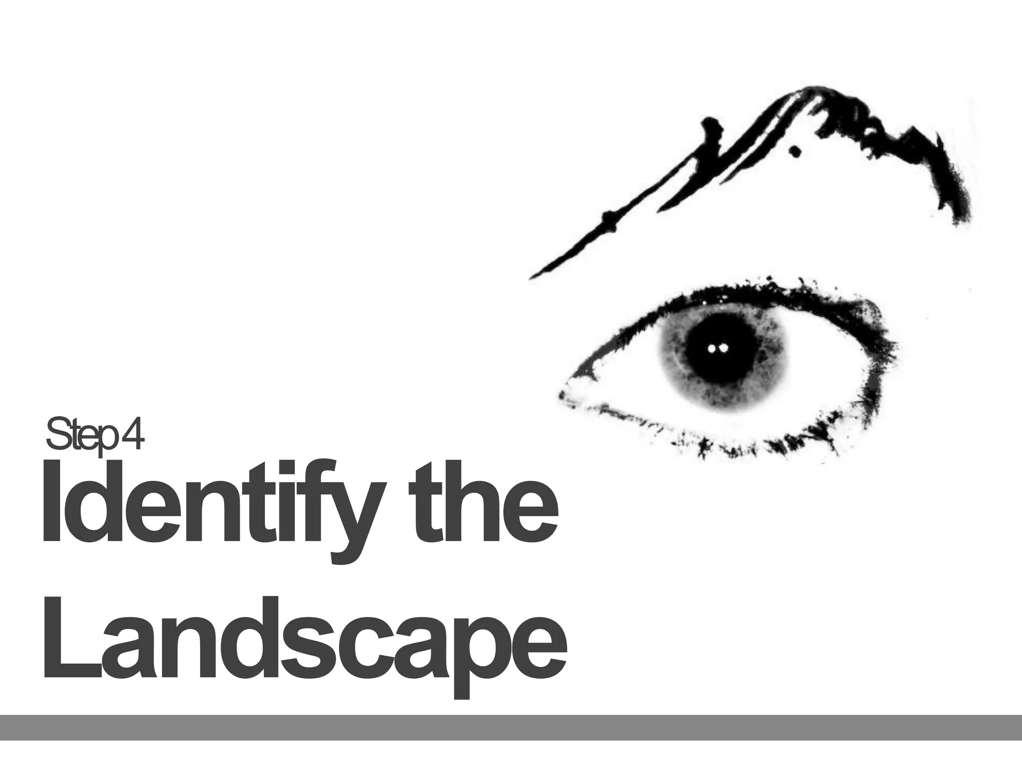Step 4Identify the Landscape 