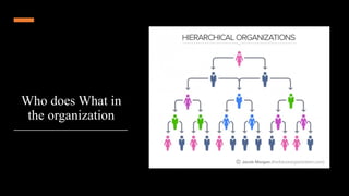 Who does What in
the organization
 