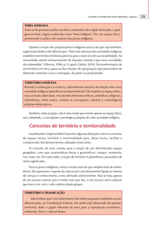 CULTURAS E HISTÓRIA DOS POVOS INDÍGENAS • Módulo I   33

 TERRA INDÍGENA
 Trata-se do processo político-jurídico conduzido sob a égide do Estado, o qual
 gera no final a figura conhecida como “terra indígena” (TI), um espaço físico,
 pertencente à união e de usufruto dos povos indígenas.

     Quanto à noção dos próprios povos indígenas acerca do que seja território,
sugere João Pacheco de Oliveira que: “Não é da natureza das sociedades indígenas
estabeleceram limites territoriais precisos para o exercício de sua sociabilidade. Tal
necessidade advém exclusivamente da situação colonial a que essas sociedades
são submetidas” (Oliveira, 1996, p. 9, apud. Gallois, 2010). Na transformação de
um território em terra, passa-se das relações de apropriação (que prescindem de
dimensão material) à nova concepção, de posse ou propriedade.


 TERRITÓRIO INDÍGENA
 Remete à construção e à vivência, culturalmente variável, da relação entre uma
 sociedade indígena específica e sua base territorial. Diz respeito ao espaço físico,
 mas vai muito além deste, envolvendo elementos míticos, simbólicos, religiosos,
 subsistência, entre outros, centrais às concepções culturais e cosmológicas
 próprias destes povos.


     Território, nesta acepção, não é uma noção que remete apenas ao espaço físico,
mas, sobretudo, a concepções cosmológicas próprias de cada sociedade indígena.

     Conceitos de território e territorialidade
    Inicialmente é imprescindível fazermos algumas distinções entre os conceitos
de espaço (terra), território e territorialidade para, dessa forma, facilitar a
compreensão dos demais termos utilizados neste texto.
      O conceito de terra remete para a noção de um determinado espaço
geográfico, com suas características físicas e geomórficas: campos, montanha,
rios, mata, etc. Por outro lado, a noção de território é polissêmica, possuidora de
vários significados.
     Para os povos indígenas, a terra é muito mais do que simples meio de subsis-
tência. Ela representa o suporte da vida social e está diretamente ligada ao sistema
de crenças e conhecimento, como afirmado anteriormente. Não se trata apenas
de um recurso natural, pois é muito mais que isto, é um recurso sócio-cultural,
que tem a ver com a vida coletiva destes grupos.

 TERRITÓRIO E DEMARCAÇÃO
       Vale lembrar que o reconhecimento dos índios enquanto realidades sociais
 diferenciadas, na Constituição Federal, não pode estar dissociado da questão
 territorial, dado o papel relevante da terra para a reprodução econômica,
 ambiental, física e cultural destes.
 