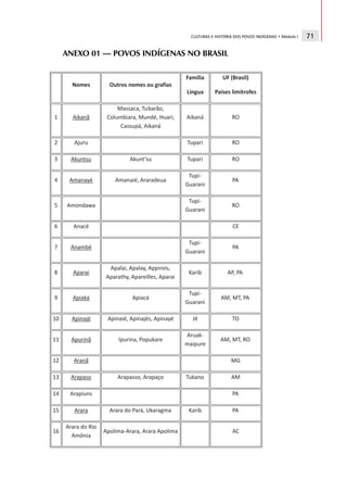 CULTURAS E HISTÓRIA DOS POVOS INDÍGENAS • Módulo I   71

ANEXO 01 — POVOS INDÍGENAS NO BRASIL
 